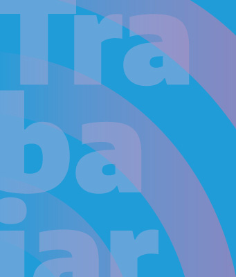 widget image